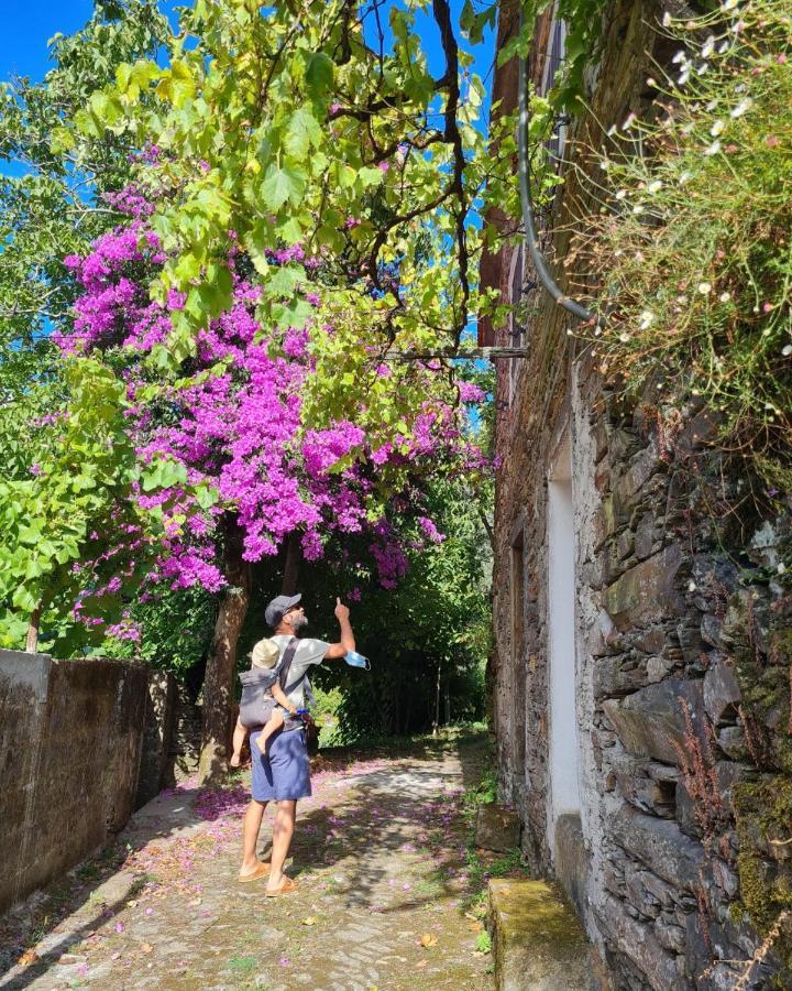 Out Of Town Hostel Castelo de Paiva Luaran gambar